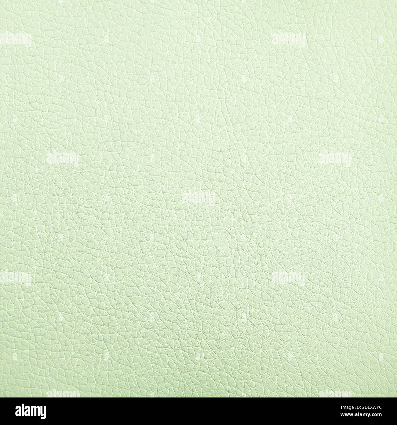 Premium light green leather texture background for decor Stock Photo