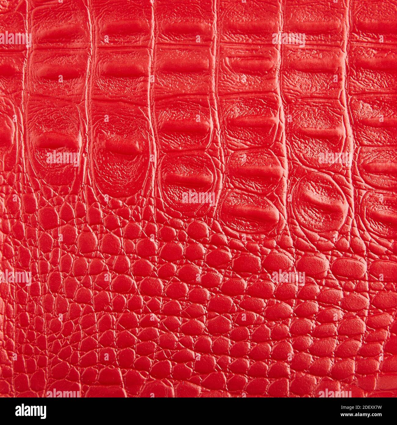 Premium red crocodile leather texture background for decor Stock Photo -  Alamy