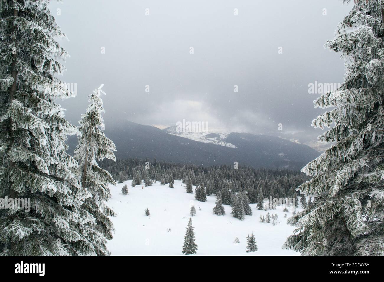 Zasnezhenyy gornyy peyzazh. Kontsept zimnego otuska v gorakh. Gorizontal'naya oriyentatsiya. Kopirovat' prostranstvo. gory, gornyy, peyzazh, zima, sne Stock Photo