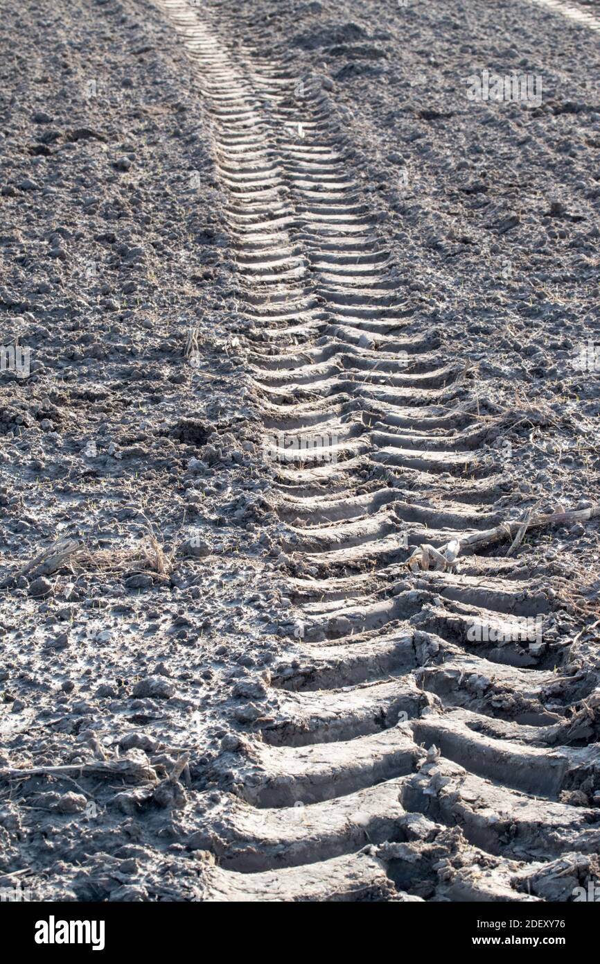 Tire track from a tractor on the freshly plowed field. Stock Photo