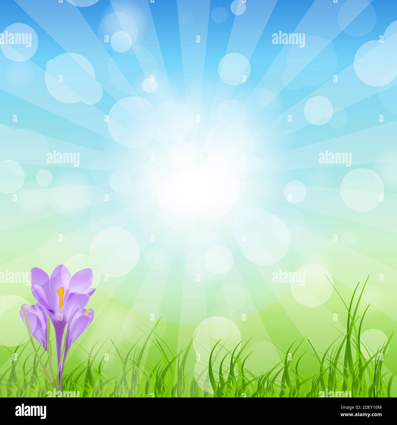 Spring green background. illustration Stock Photo