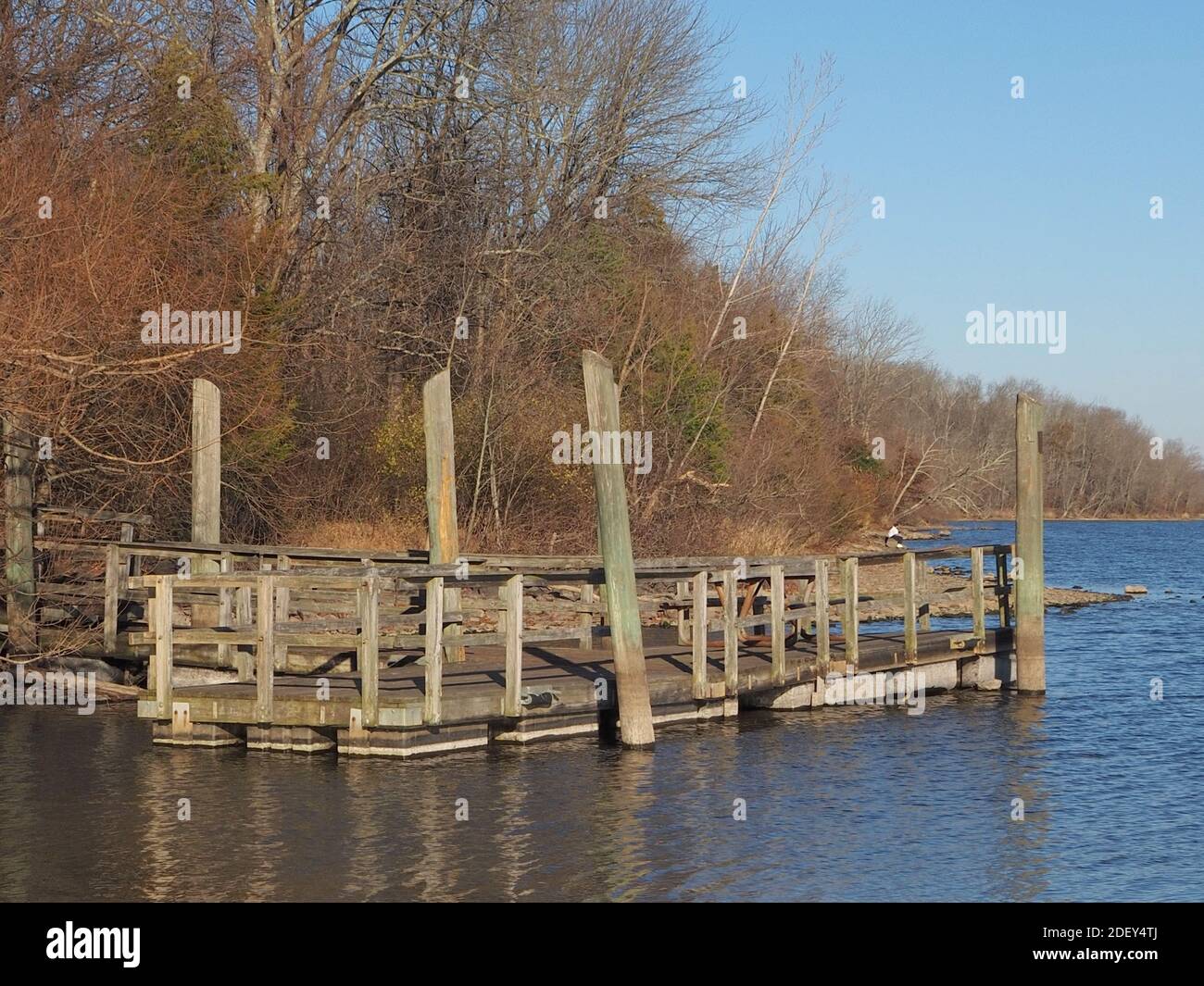 The old wooden dock is by the lake. Stock Photo