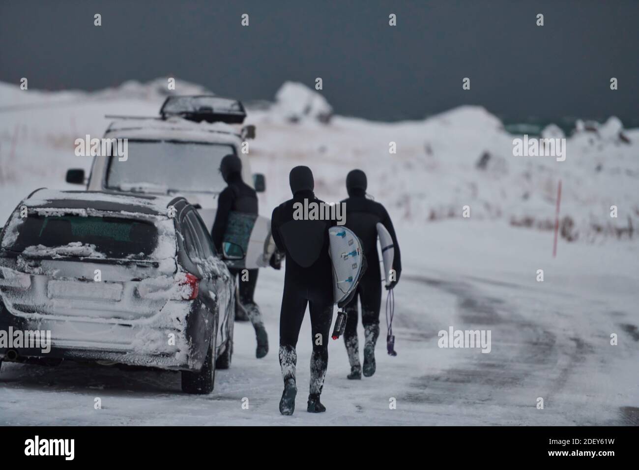 Arctic surfers in wetsuit after surfing by minivan Stock Photo Alamy