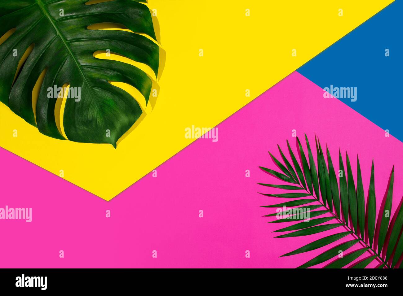 Creative banner with tropical leaves on geometric vibrant colours