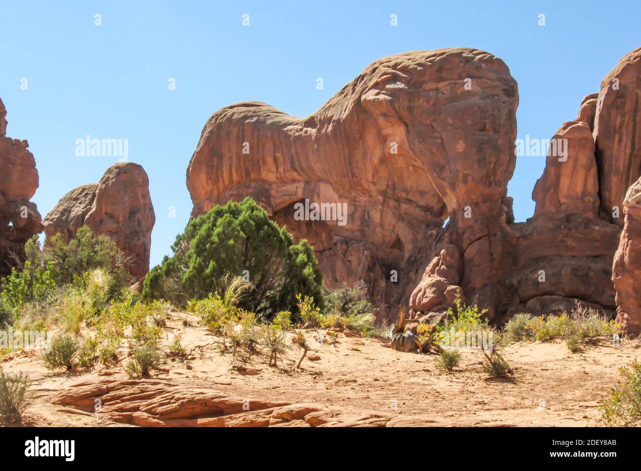 The sandstone buttes in Arches National park, Utah, known as The Herd of Elephants, due to their iconic shape, on a sunny afternoon Stock Photo