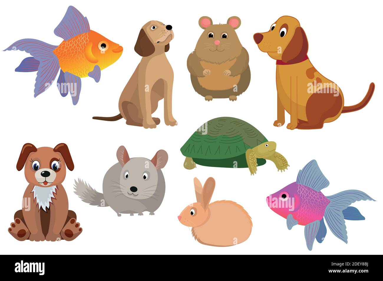 vector set of Pets Stock Vector Image & Art Alamy