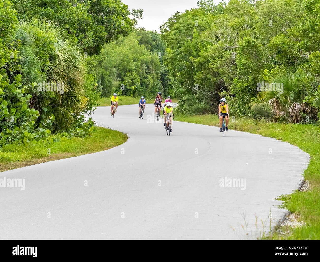 People riding bicycles in  J.N. Ding Darling National Wildlife Refuge on Sanibel Island in Florida in the United States Stock Photo
