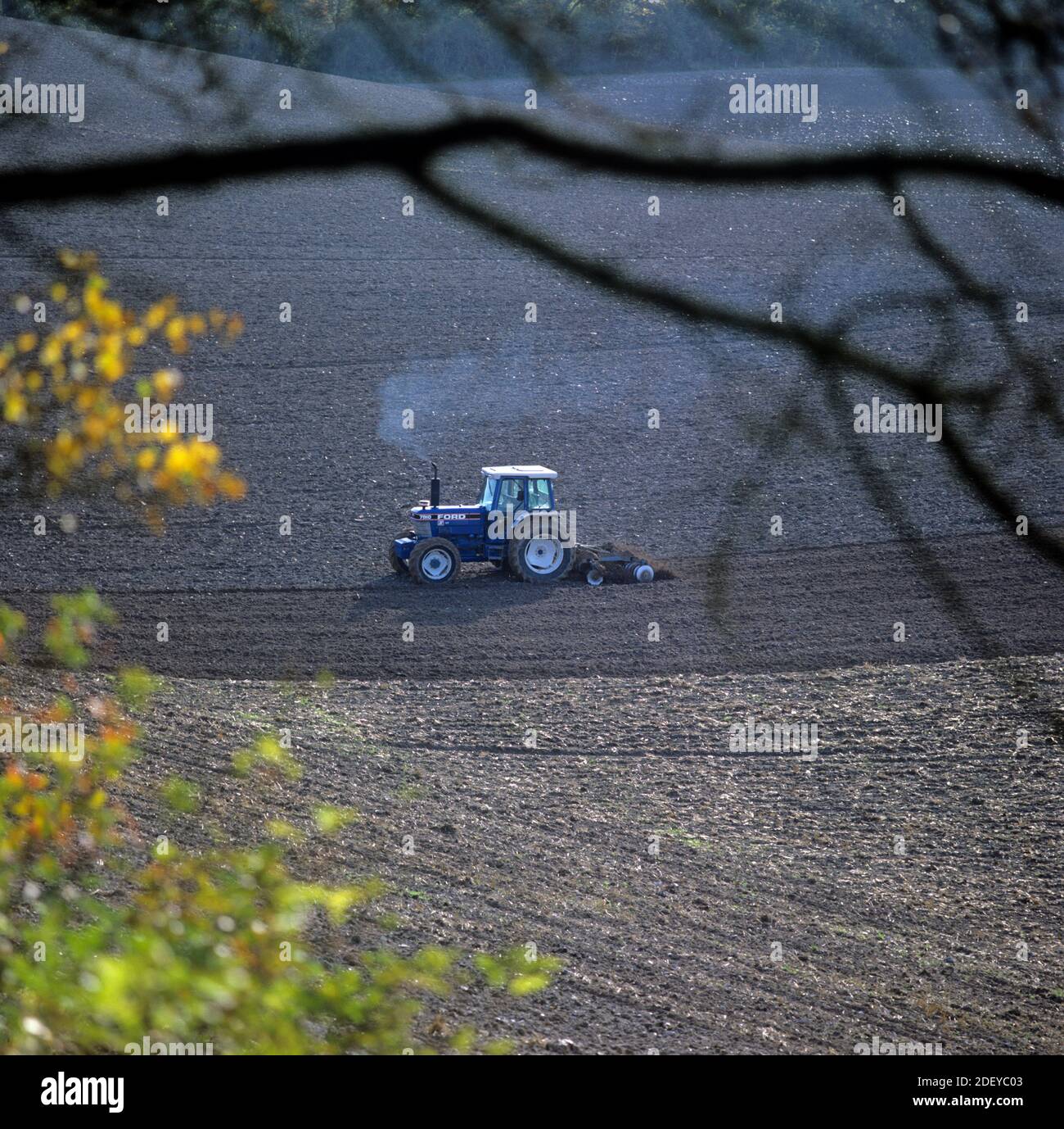Looking through tree branches at a small Ford tractor disc harrowing a ploughed field to prepare for autumn planting, Berkshire, November Stock Photo
