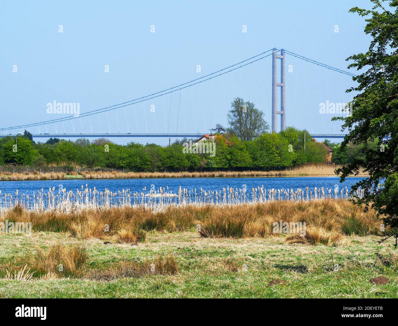 Wetlands habitat in Far Ings Nature Reserve, North Lincolnshire, England, with a view of the Humber Bridge Stock Photo