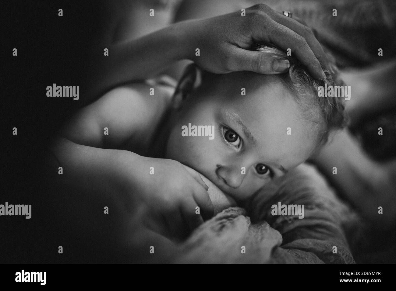 Black and white close up of a toddler breastfeeding and mom's hand Stock Photo