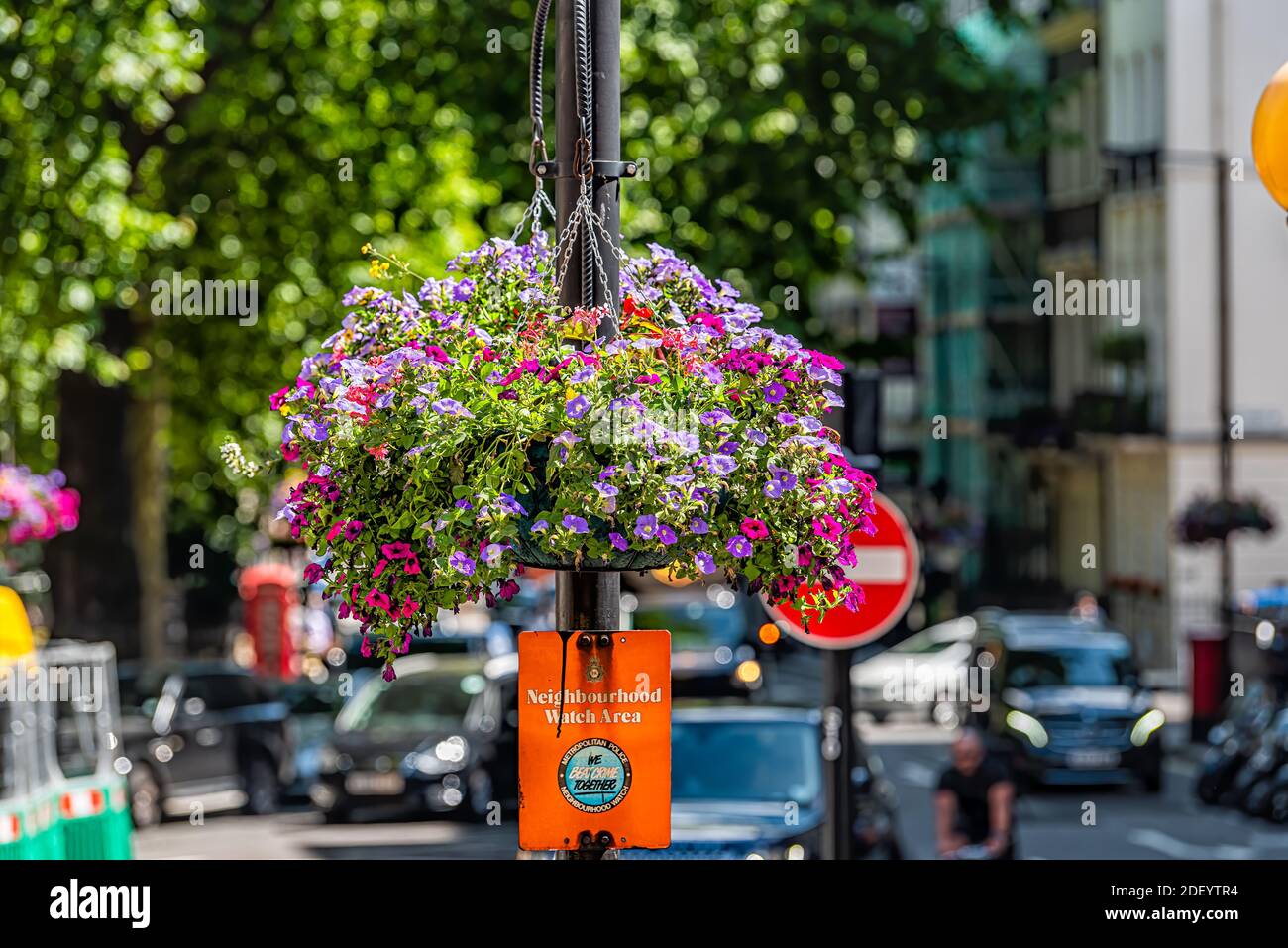 London, UK - June 22, 2018: Street road with closeup of hanging flower basket on lamp post on sunny summer day and sign for neighborhood watch Stock Photo