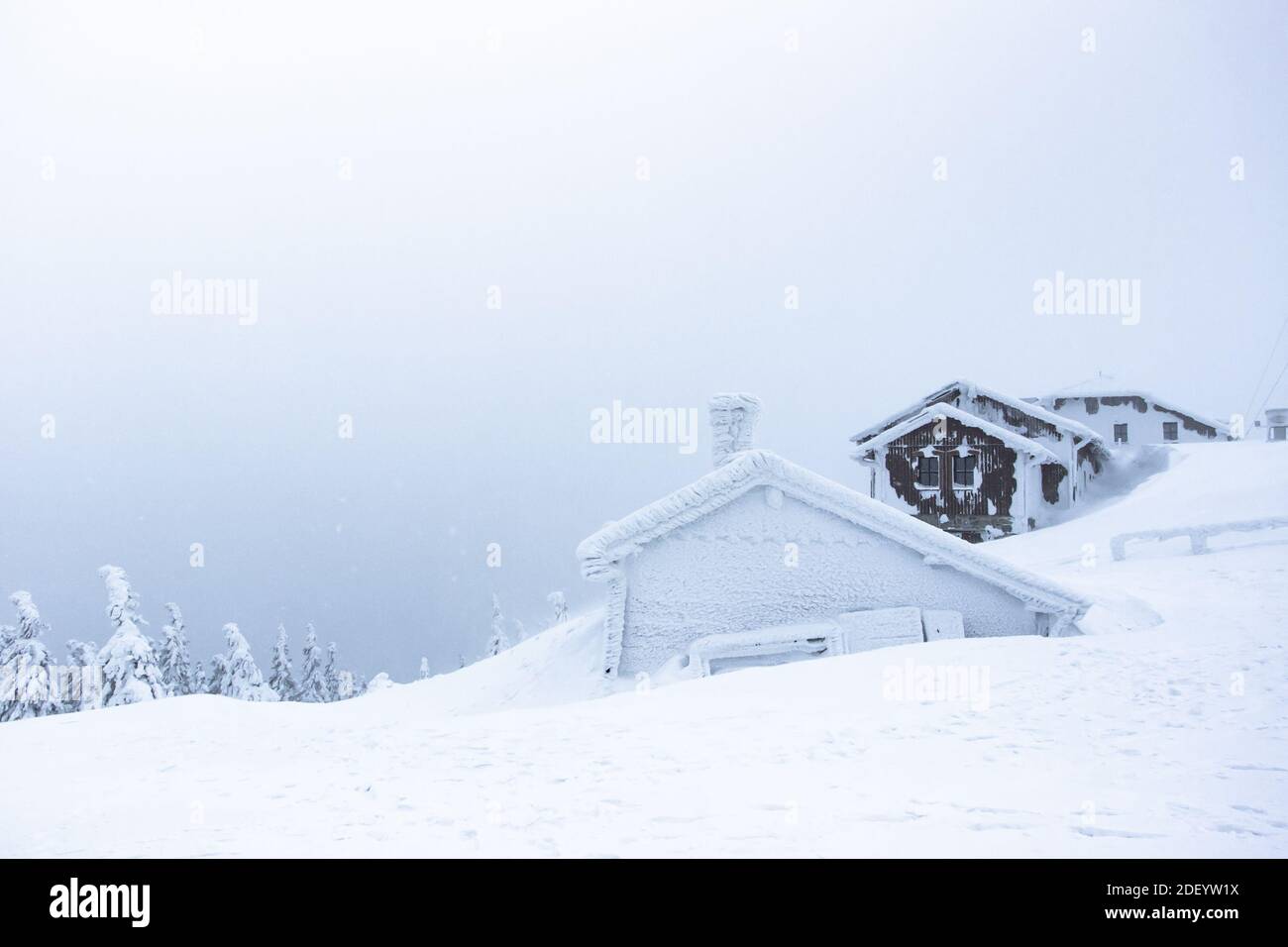 Winter panorama landscape with cottage, trees covered snow, fog. Winter background of snow and frost.Picturesque and gorgeous winter scene.Christmas Stock Photo