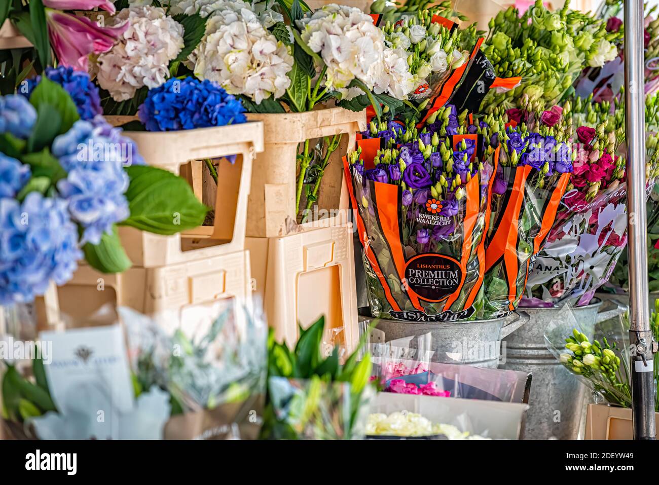 London, UK - June 23, 2018: Retail display of bouquets of hyacinth and roses flowers at florist store shop stand or stall outside outdoors on street o Stock Photo