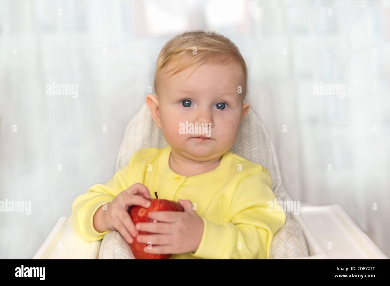 A little baby girl with a big red Apple in her hands is sitting in a high chair and looking at the camera Stock Photo