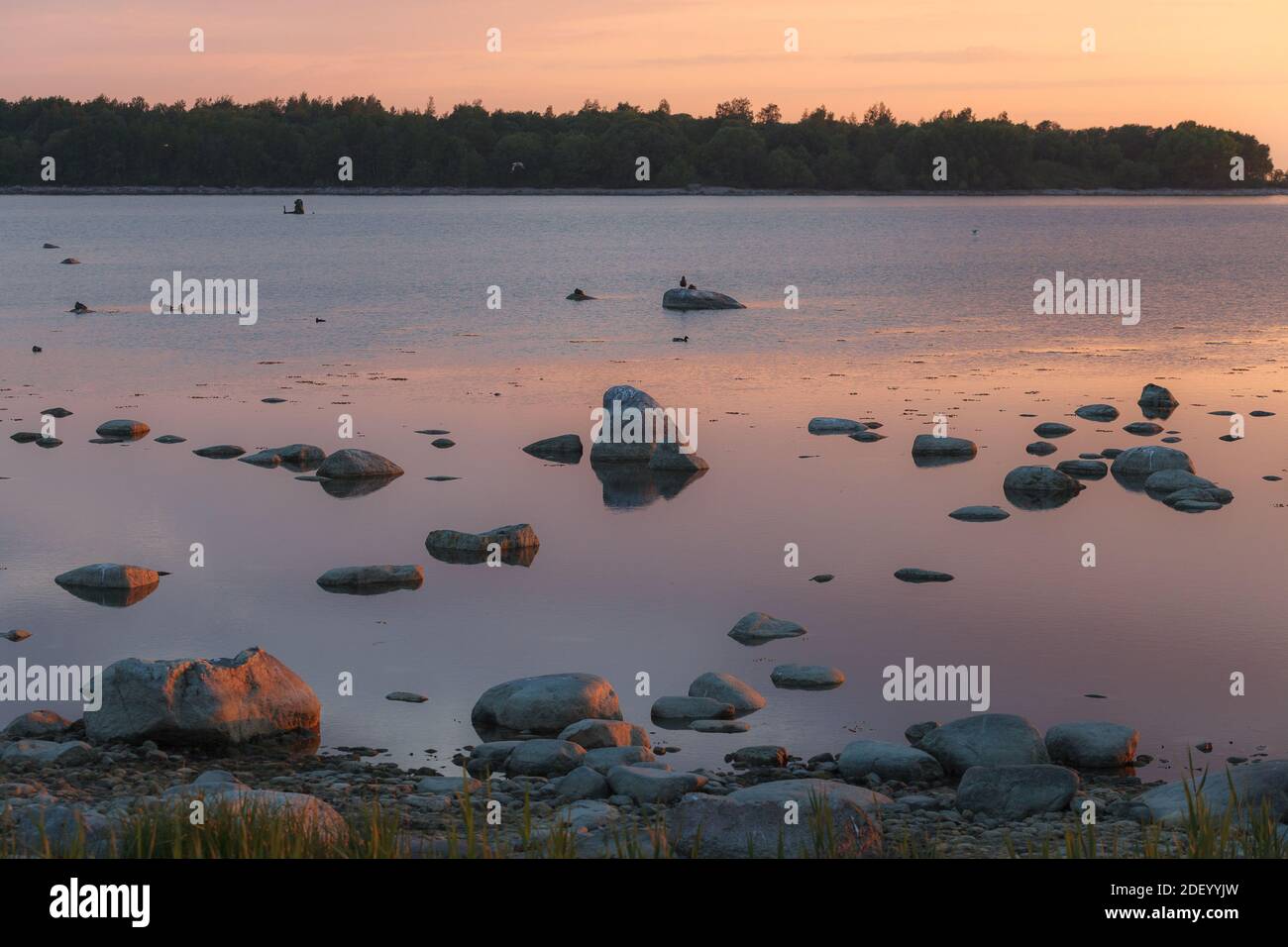 Beautiful rocky sea shore at sunset Stock Photo - Alamy