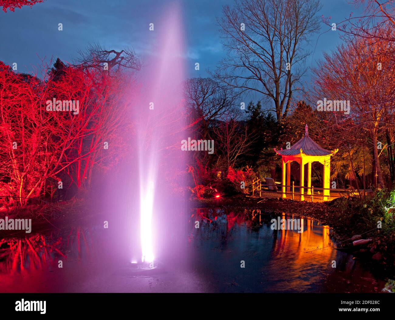 13+ Christmas Tree Laser Lights 2021