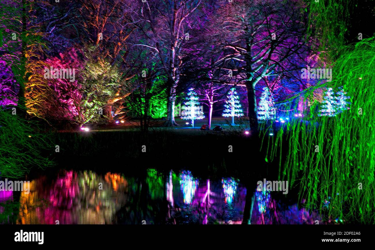 Royal Botanic Garden, Edinburgh, Scotland UK. 2 December 2020. Christmas at  the Botanics open today unveiling a series of magical light installations  inspired by all things Christmas. The event delivers a dazzling
