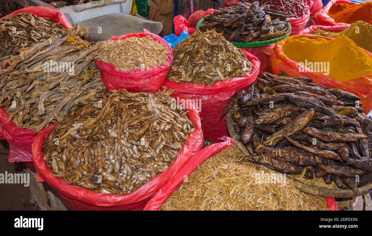 Selling fish at the market, Kathmandu, Nepal Stock Photo