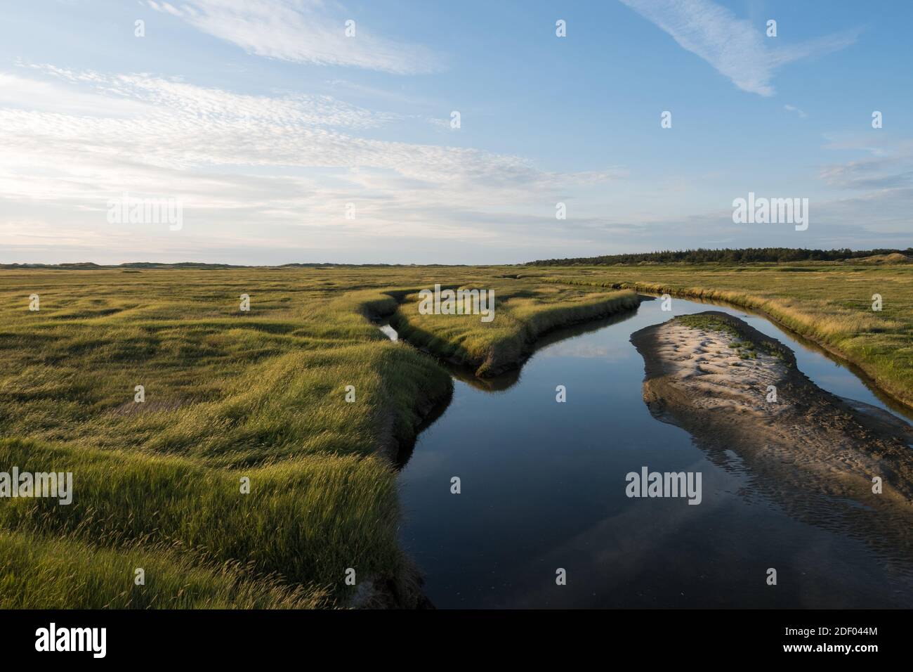Tidal creeks and salt marshes of St. PeterOrding on the German North