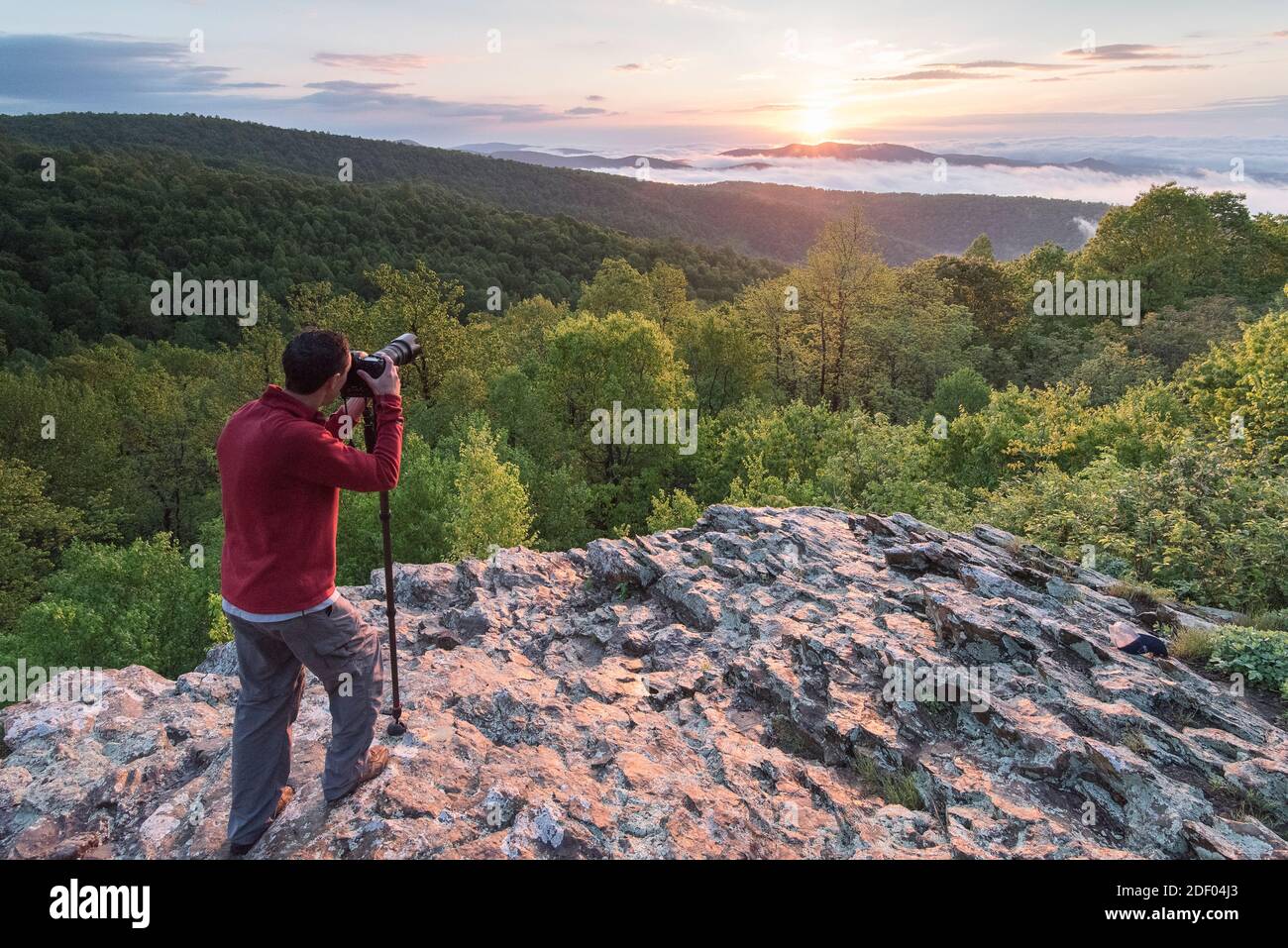 A man takes a photograph of sunrise along Skyline Drive, Shenandoah National Park, Virginia. Stock Photo