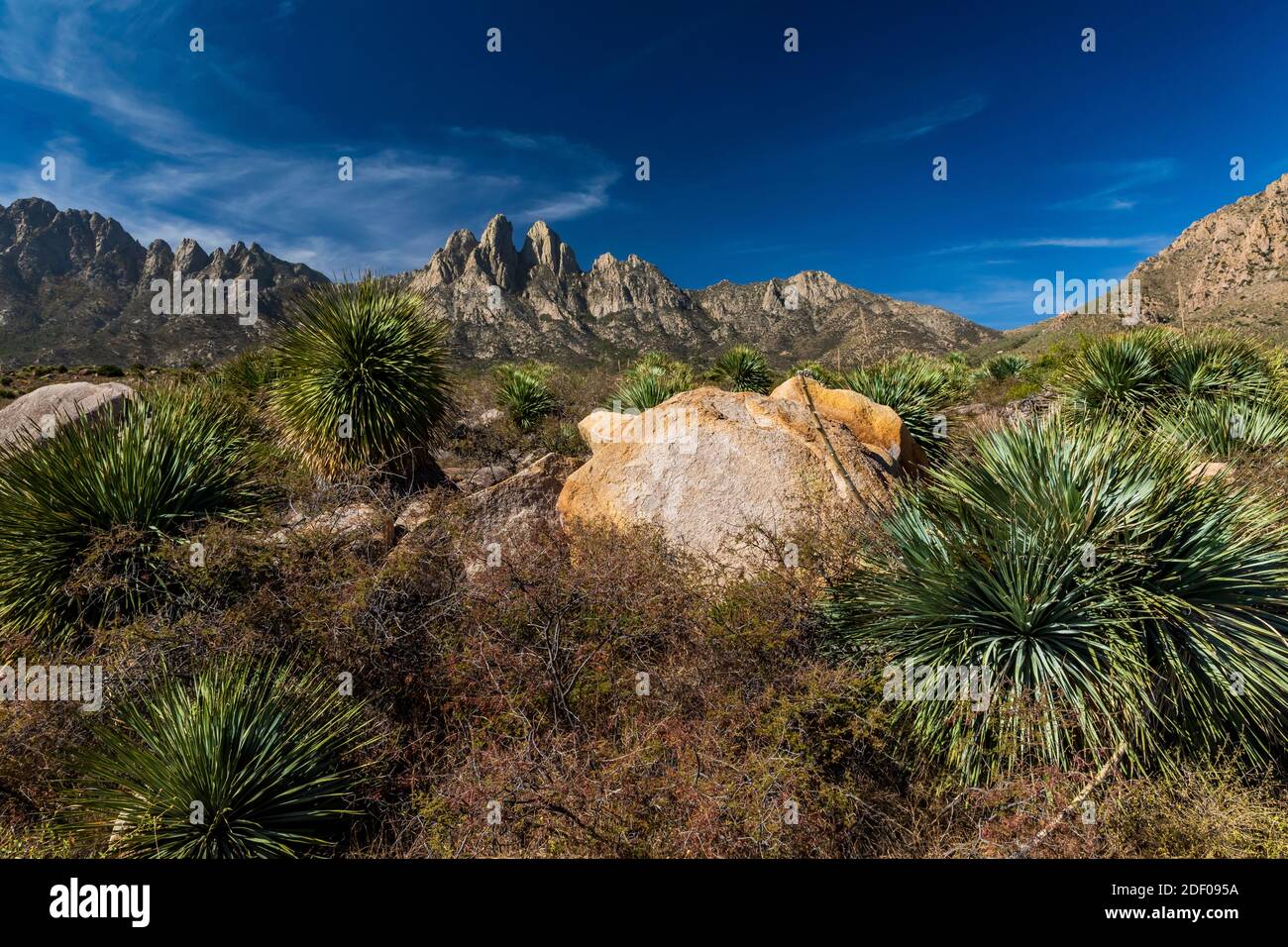 Chihuahuan Desert landscape near Aguirre Springs Campground, Organ