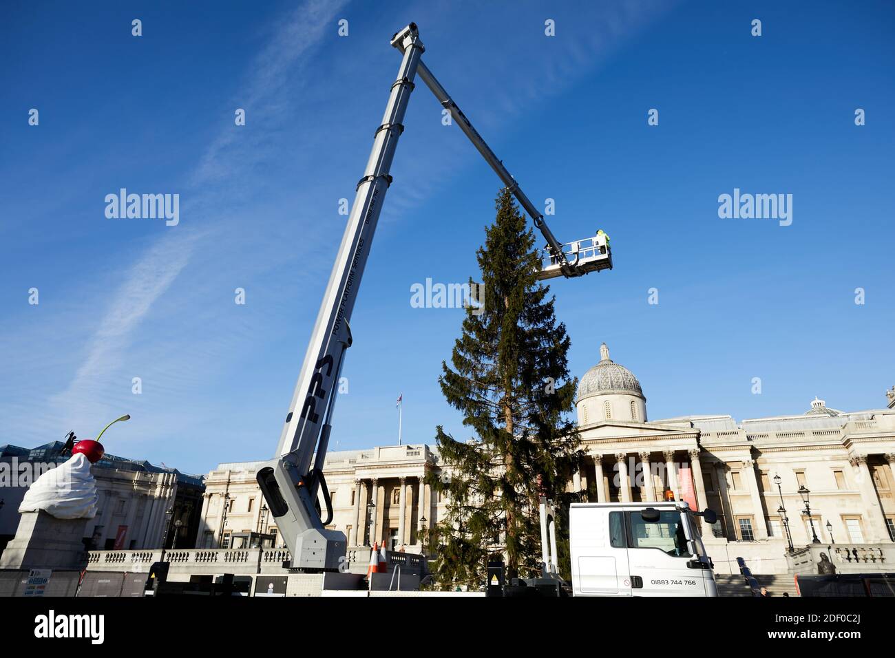 London, UK. - 01 Dec 2020: The traditional Trafalgar Square Christmas tree being decorated in strong winter sunshine. Stock Photo