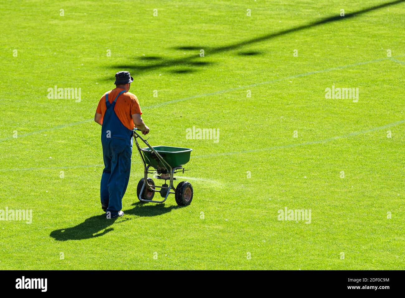 Groundsman spreads fertilizer for grass on a football pitch Stock Photo