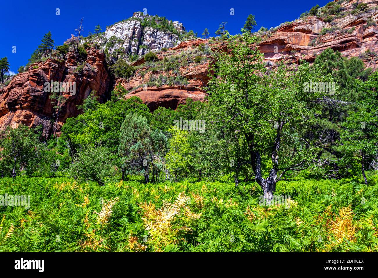 Hiking the West Fork Trail at Sedona, Arizona Stock Photo Alamy