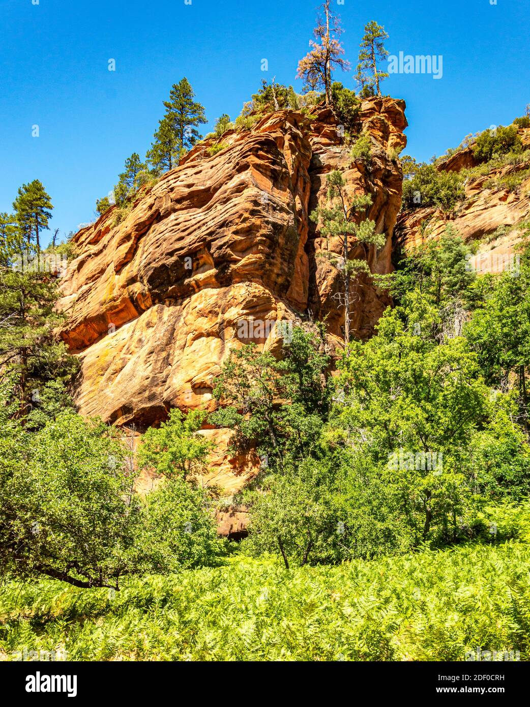 Hiking the West Fork Trail at Sedona, Arizona Stock Photo Alamy