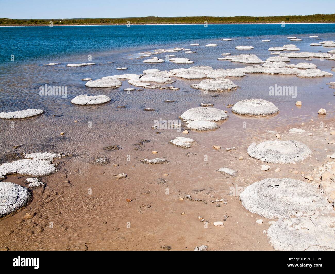 stromatolites-lake-thetis-nambung-national-park-cervantes-western