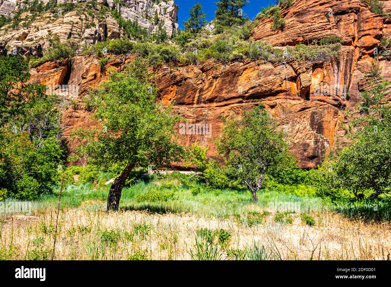 Hiking the West Fork Trail at Sedona, Arizona Stock Photo Alamy