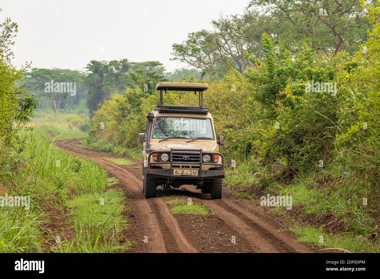 Queen Elizabeth National Park / Uganda February 29 2020 Safari in