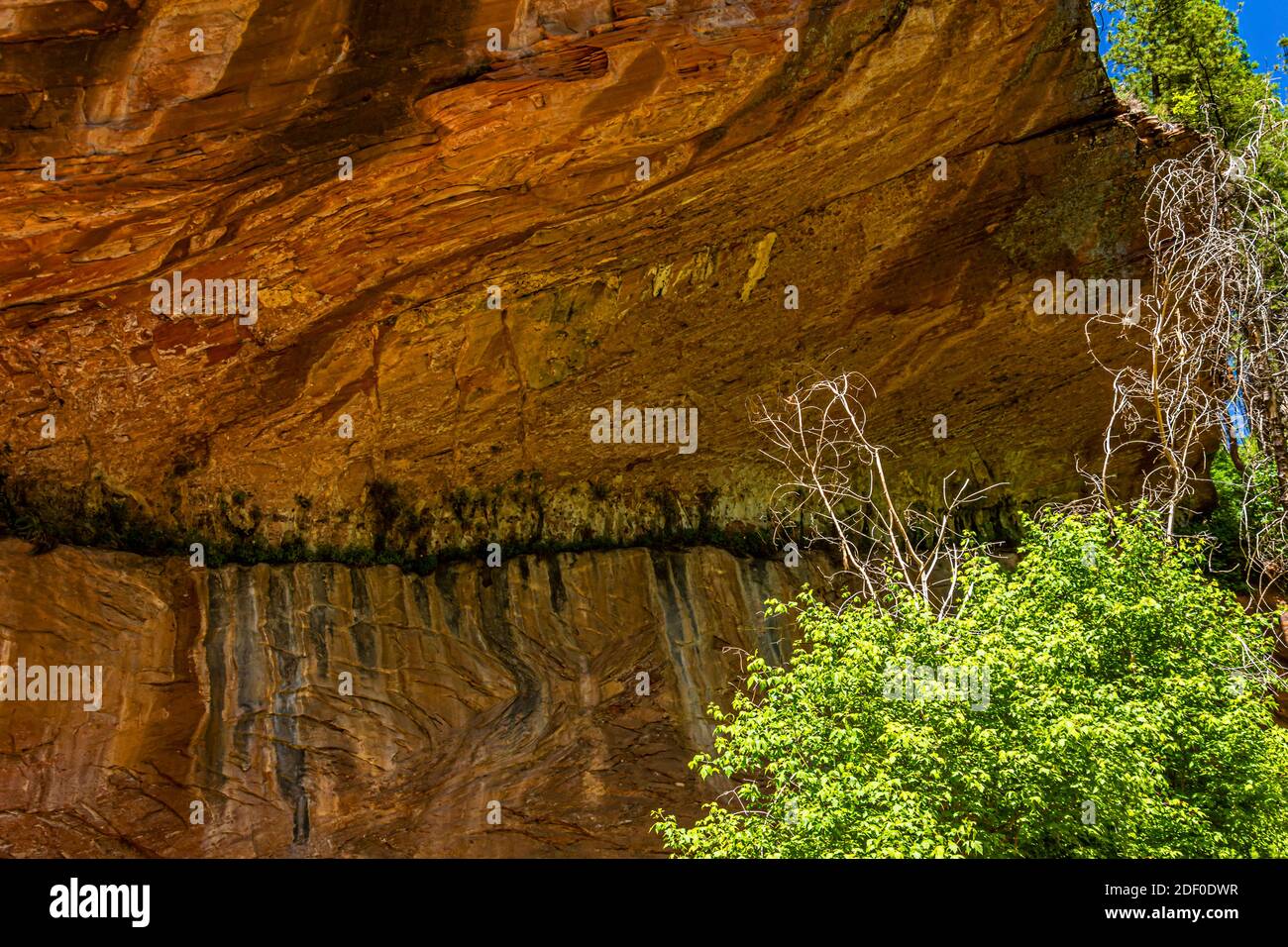 Hiking the West Fork Trail at Sedona, Arizona Stock Photo Alamy