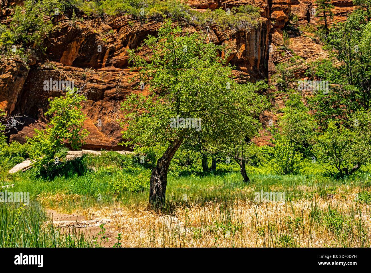 Hiking the West Fork Trail at Sedona, Arizona Stock Photo Alamy