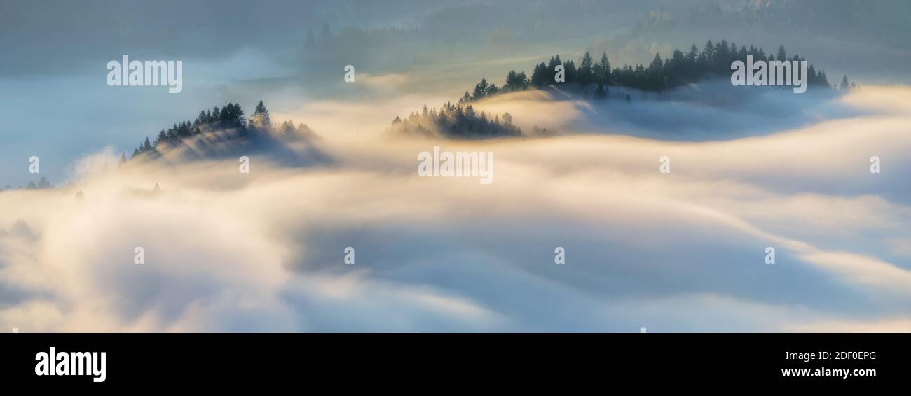Panorama of fog in Pieniny mountains in sunrise light, Poland Stock Photo