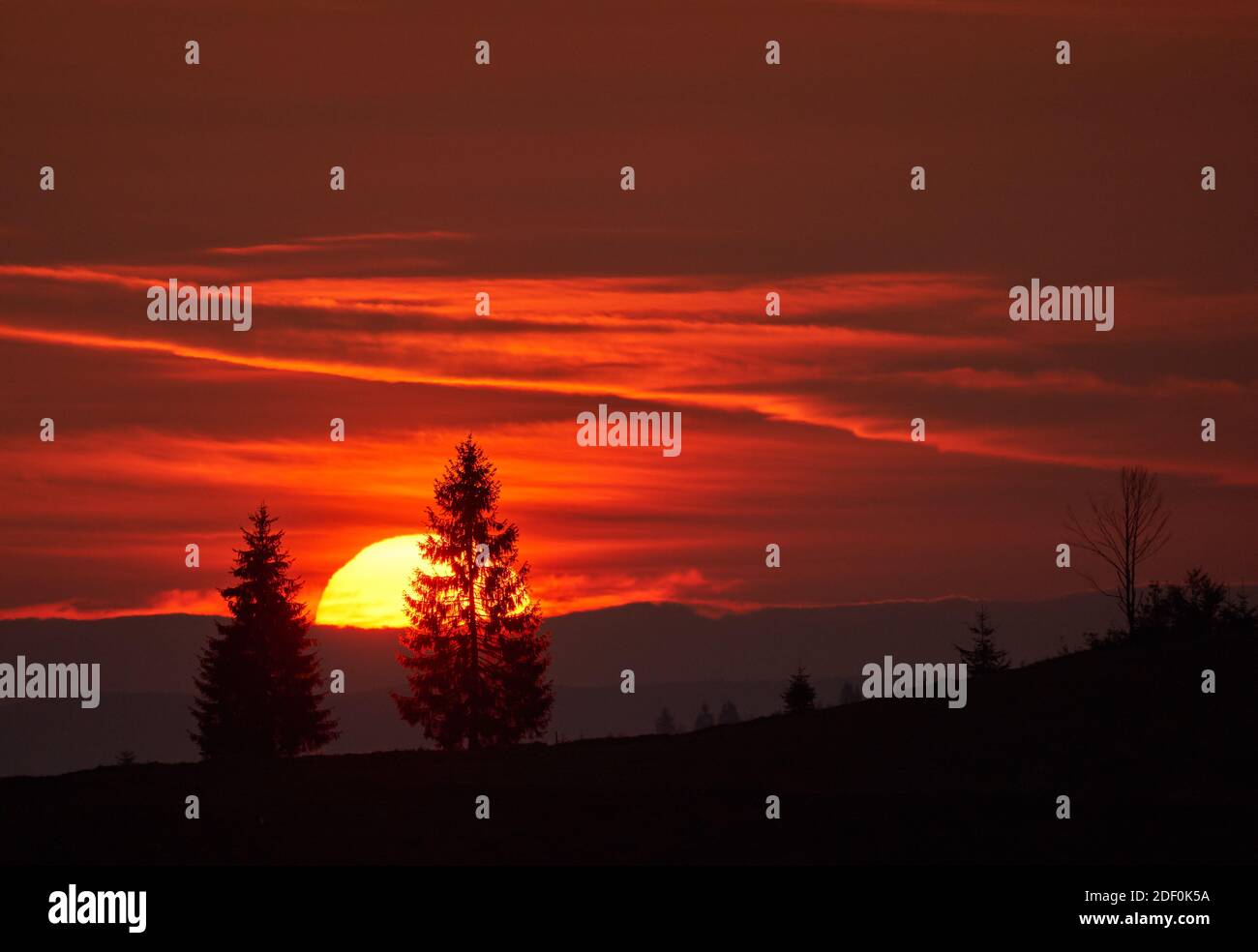 November Cold Landscape with a sunrise in a cold November morning in the mountains ...