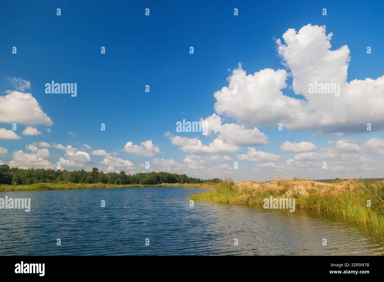 Beautiful landscape view of pine forest tree and lake Stock Photo - Alamy