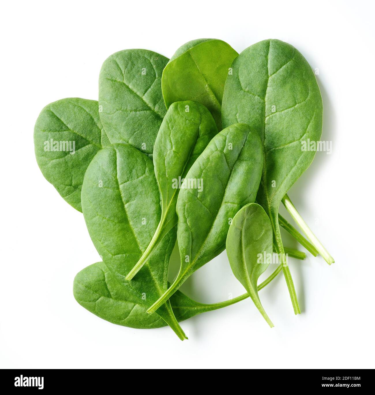 fresh green spinach leaves isolated on white background, top view Stock ...