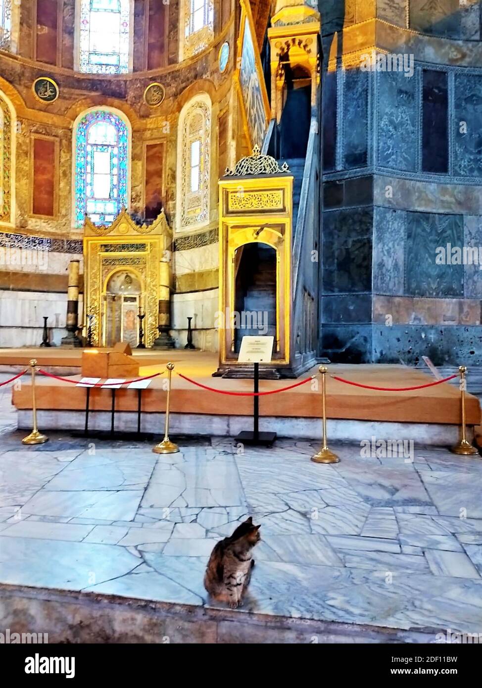 Hagia Sophia Museum and cat Gli., Byzantine architecture, famous landmark and architectural wonder of the World Istanbul, Turkey Stock Photo