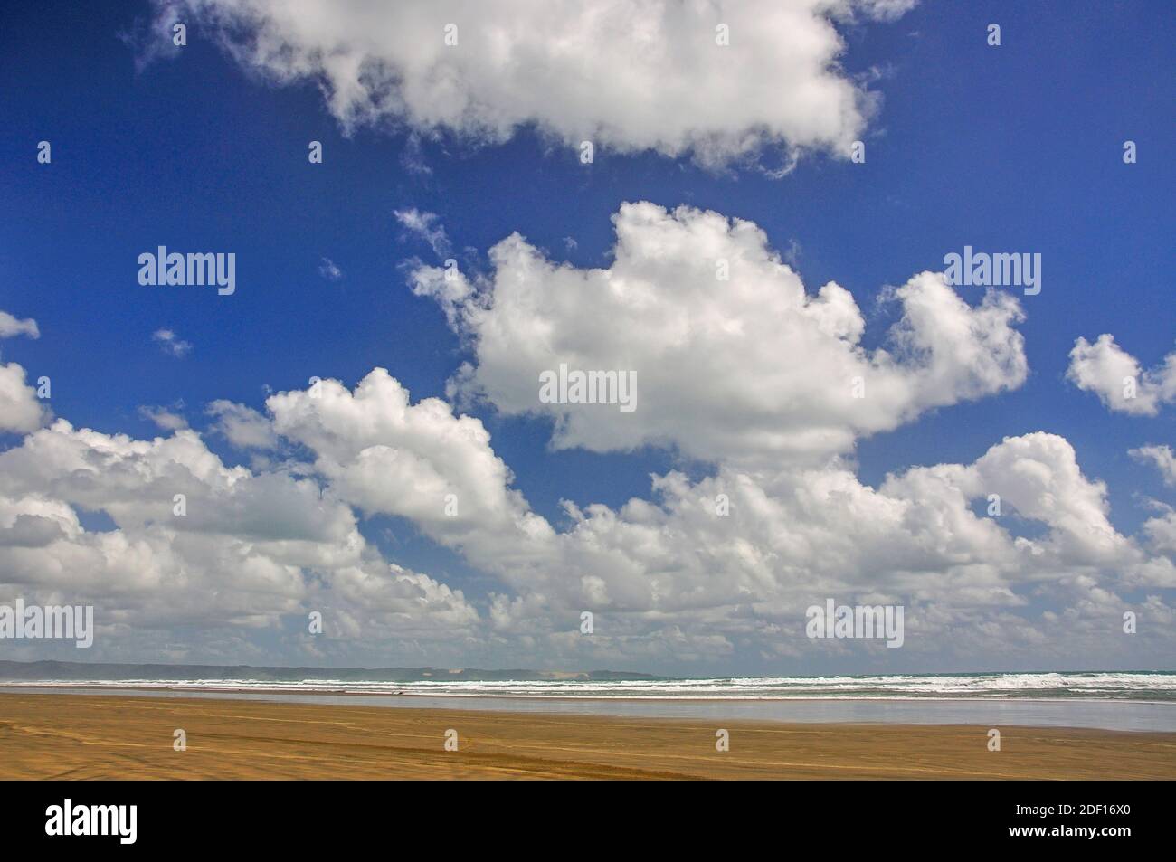 Ninety Mile Beach, Northland, North Island, New Zealand Stock Photo
