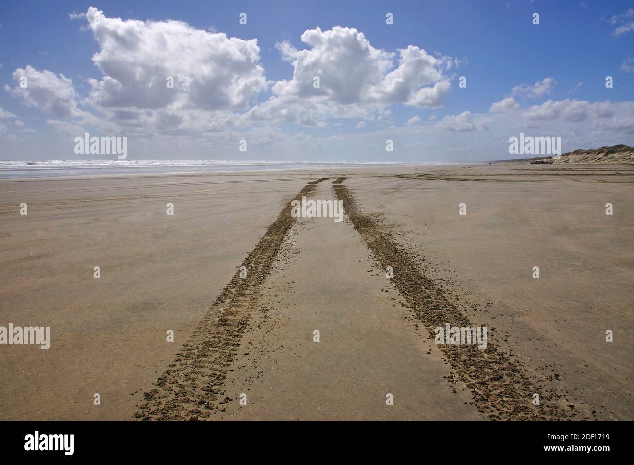 Vehicle tracks on Ninety Mile Beach, Northland, North Island, New Zealand Stock Photo