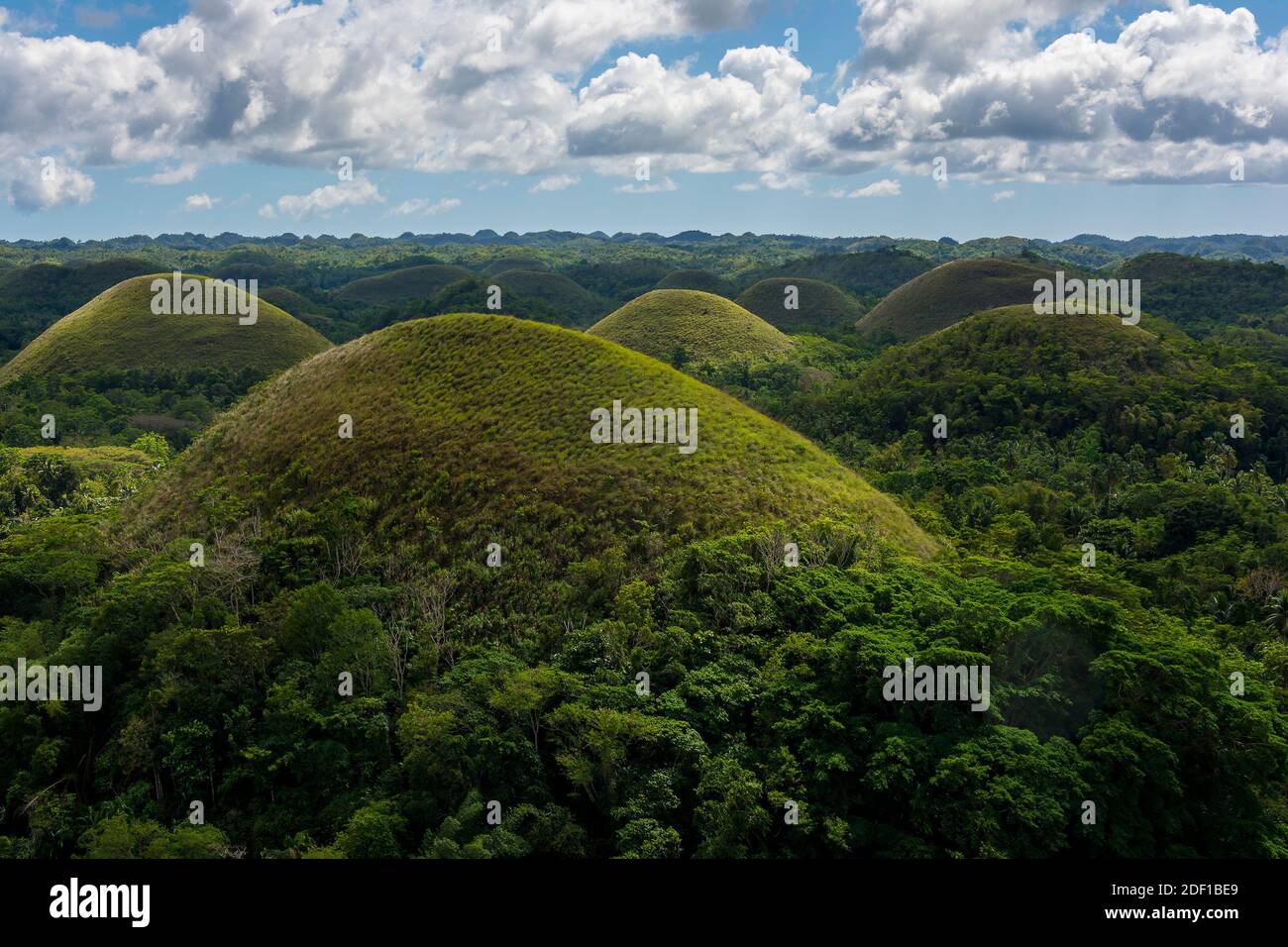The Chocolate Hills are a geological formation in the Bohol province of the Philippines.They are covered in green grass that turns brown in summer. Stock Photo