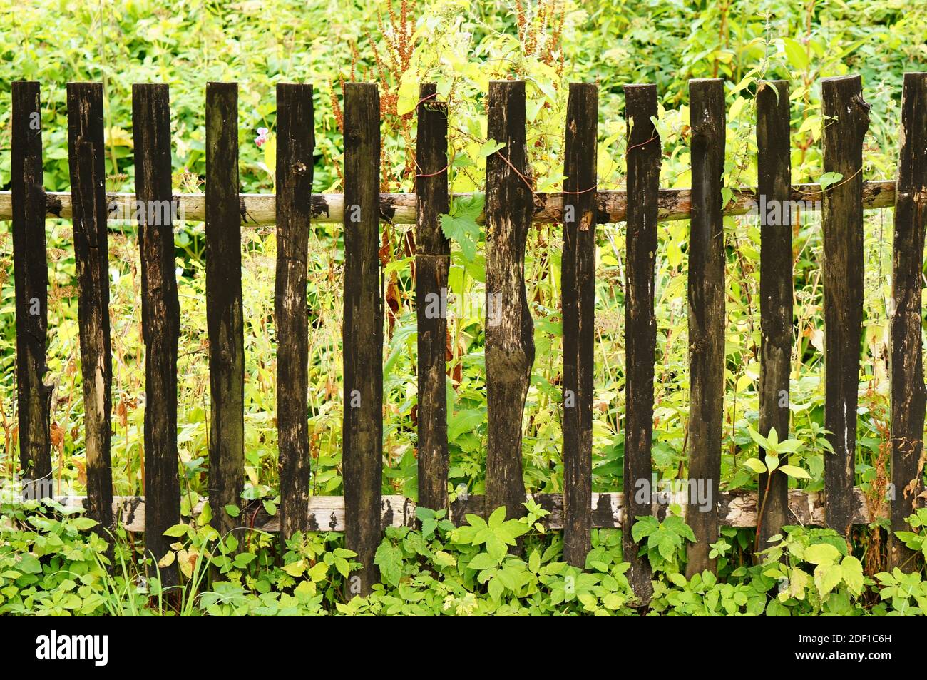 A beautiful shot of an old wooden fence in the garden Stock Photo - Alamy