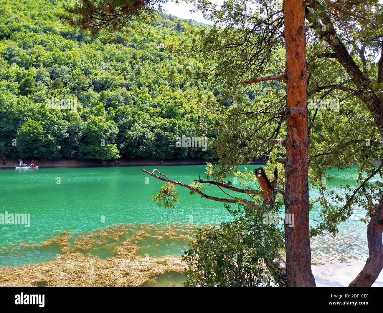 Borabay Lake In Amasya Turkey Green Lake And Trees Stock Photo Alamy