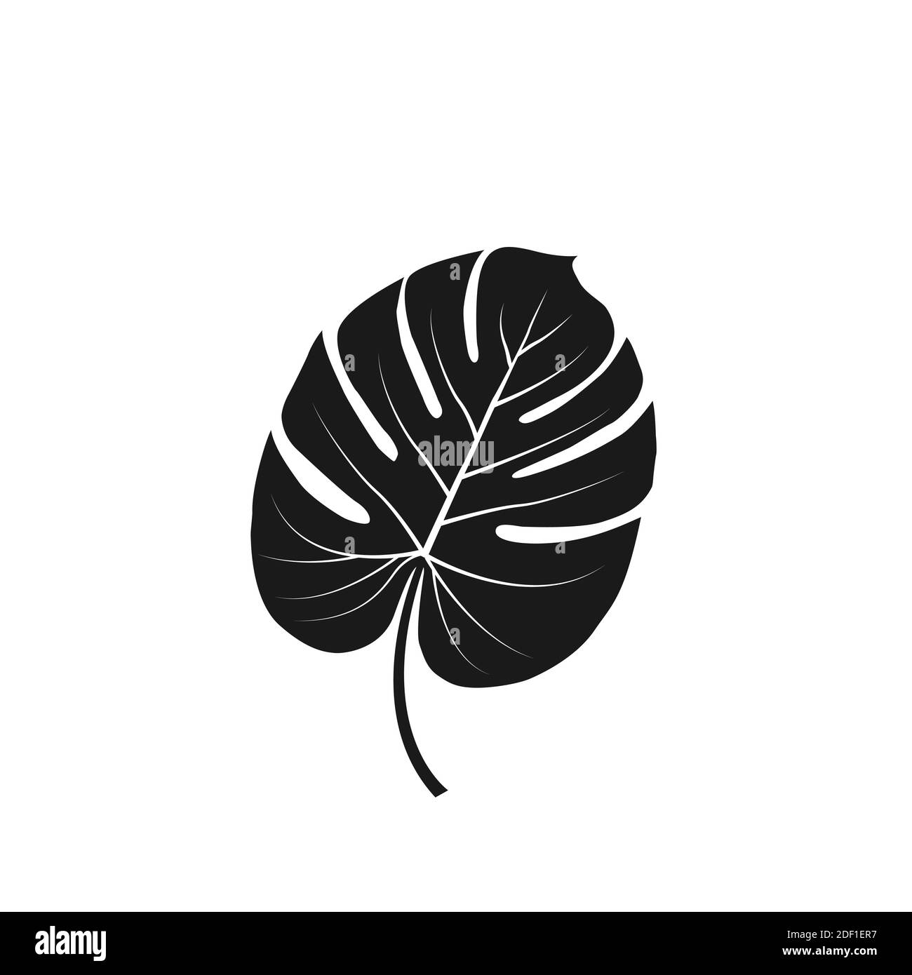 Tropical palm leaves Stock Vector Image & Art - Alamy