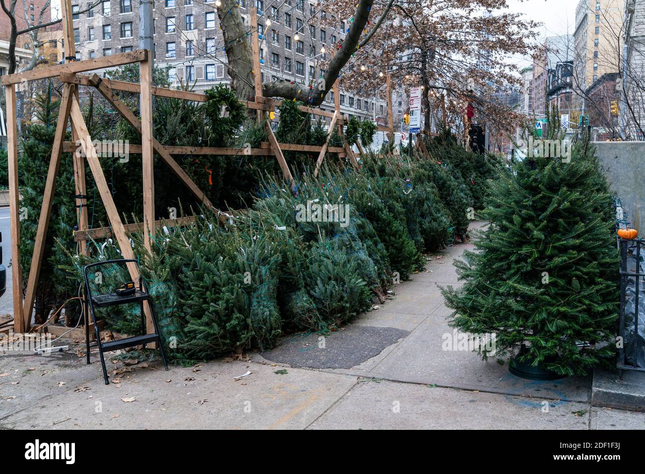 New York, NY December 2, 2020 Christmas Tree sales dotted the city on almost every corner