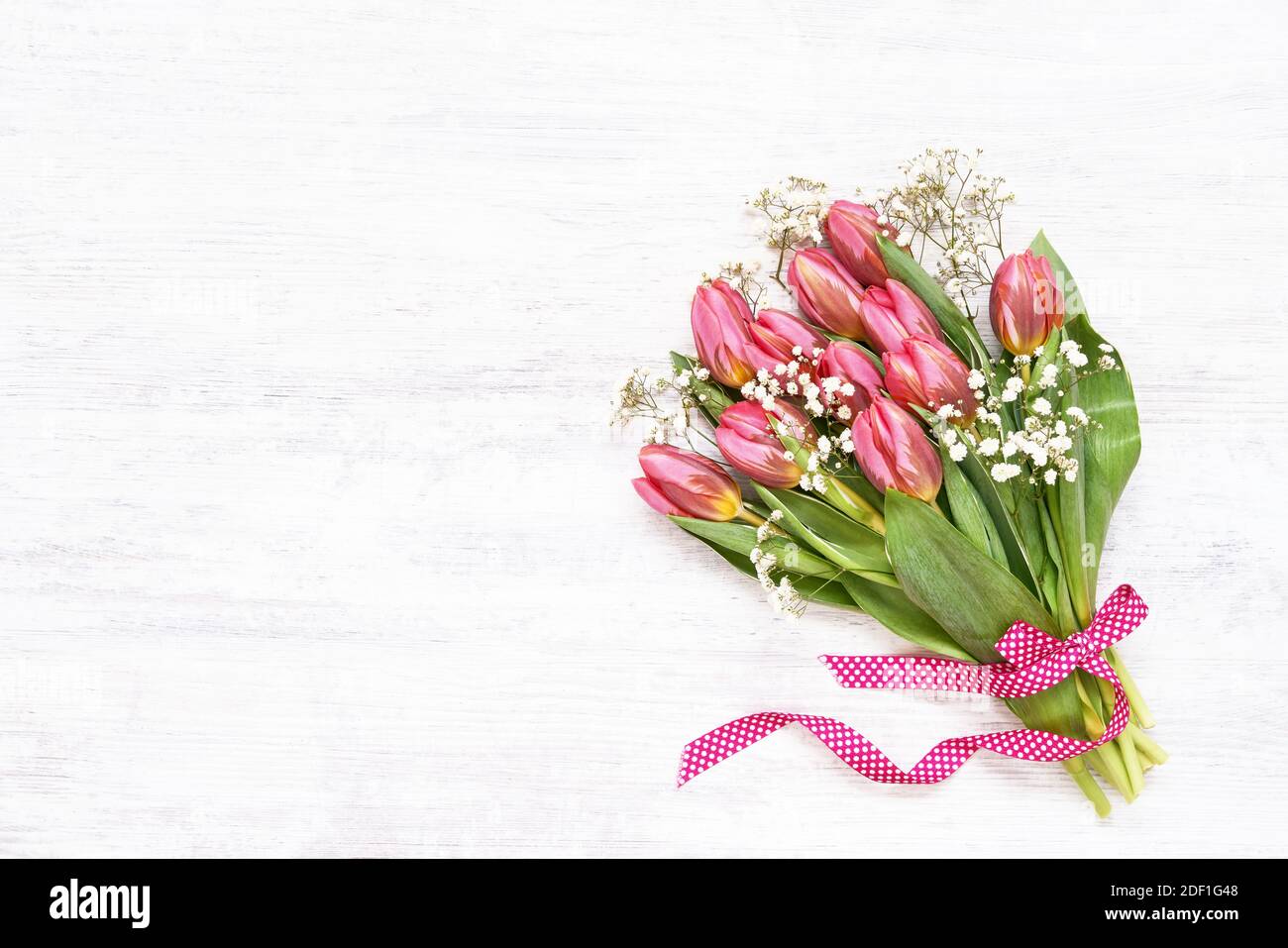 Pink tulips and gypsophila flowers bouquet decorated with ribbon on ...