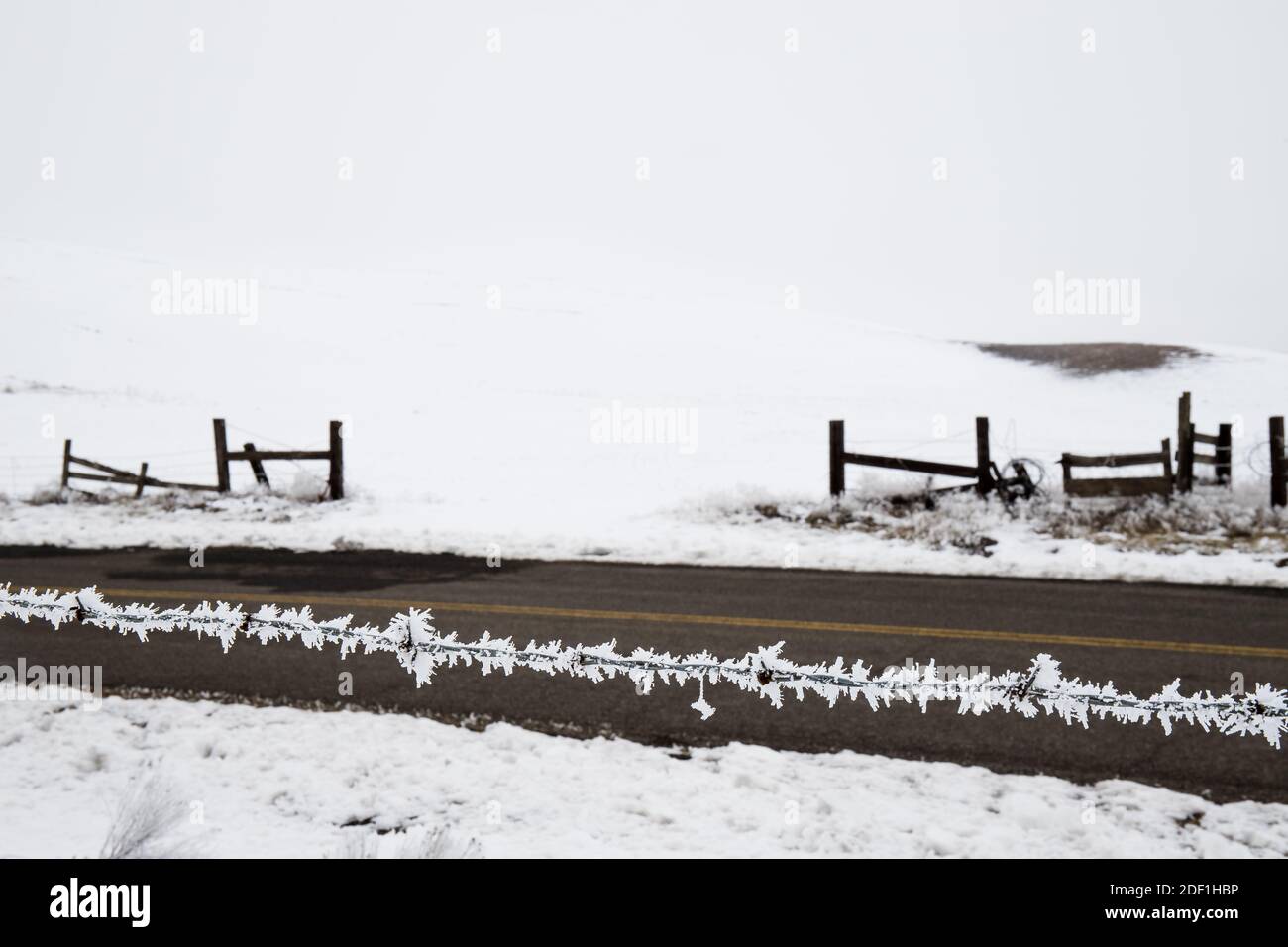 Frost Ice Crystals on Barbed Wire Fence with Winter Landscape in ...
