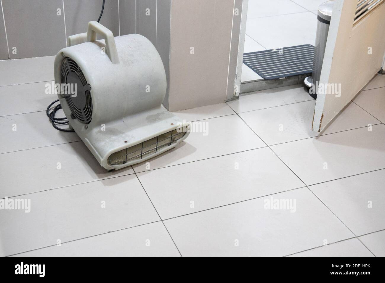 Floor best sale blower dryer
