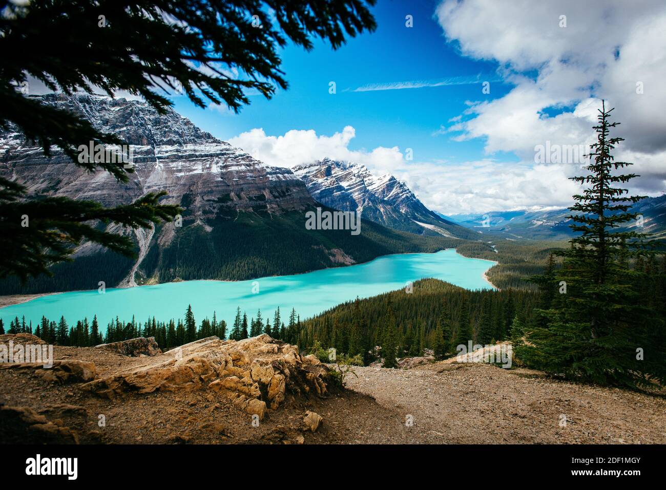 Rainex hi-res stock photography and images - Alamy